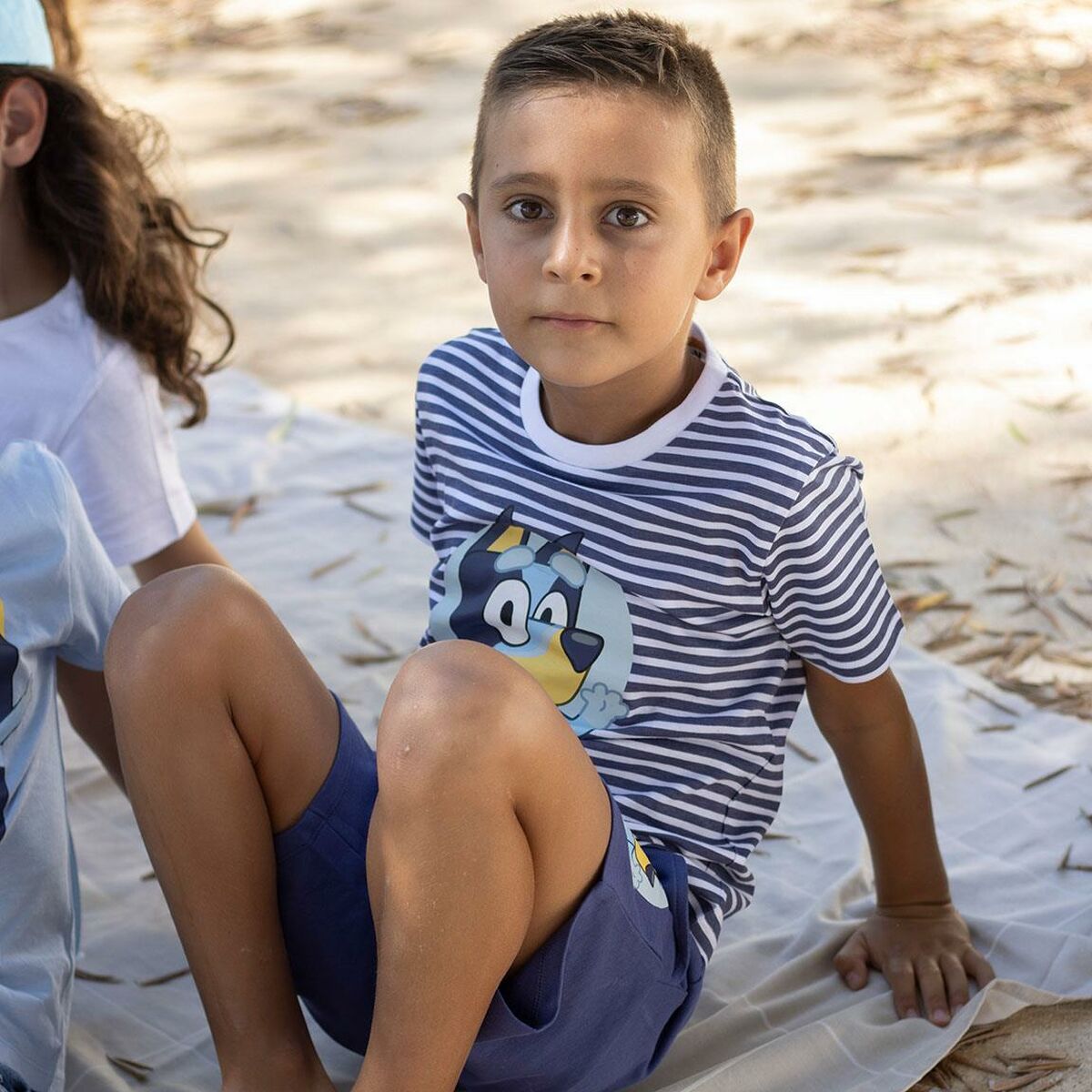 V5HEE5C5FFD1126C0FAA9BB0C4DF013A884R6706563P3